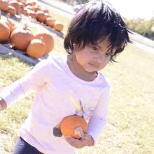 Meet your Posher, Phanindhar